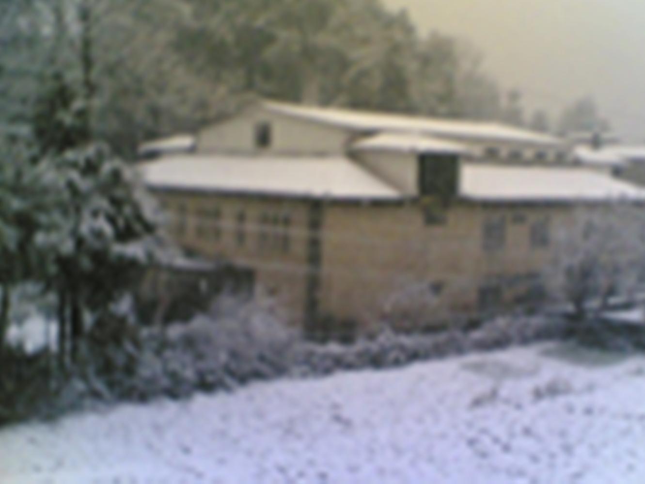 Hotel Langdale Manor Nainital Exteriér fotografie